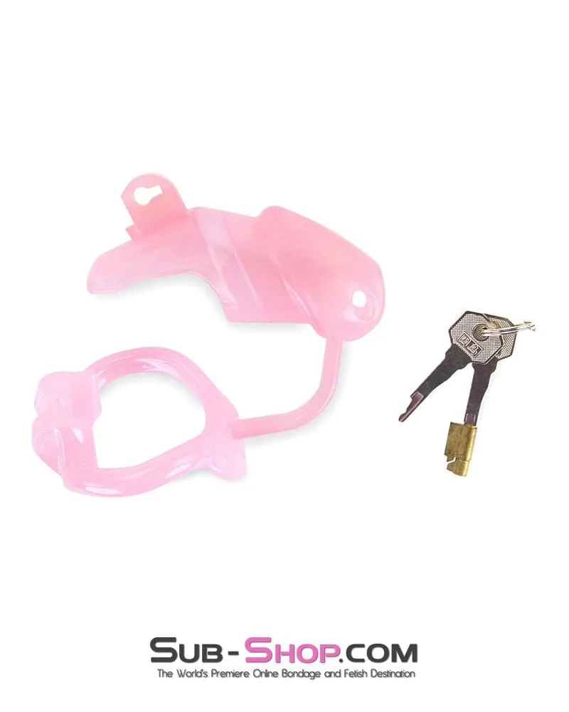 1358AR      Sissy Cock Blocker Silicone Tease and Torment Locking Male Chastity with Ball Divider