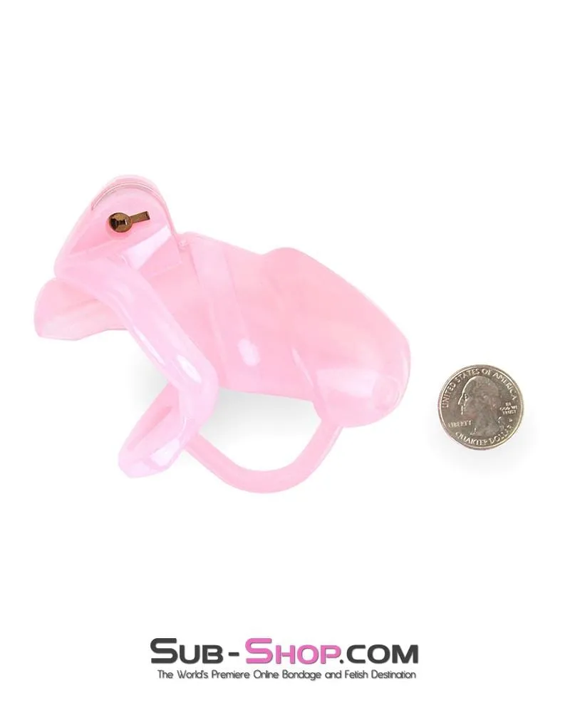 1358AR      Sissy Cock Blocker Silicone Tease and Torment Locking Male Chastity with Ball Divider