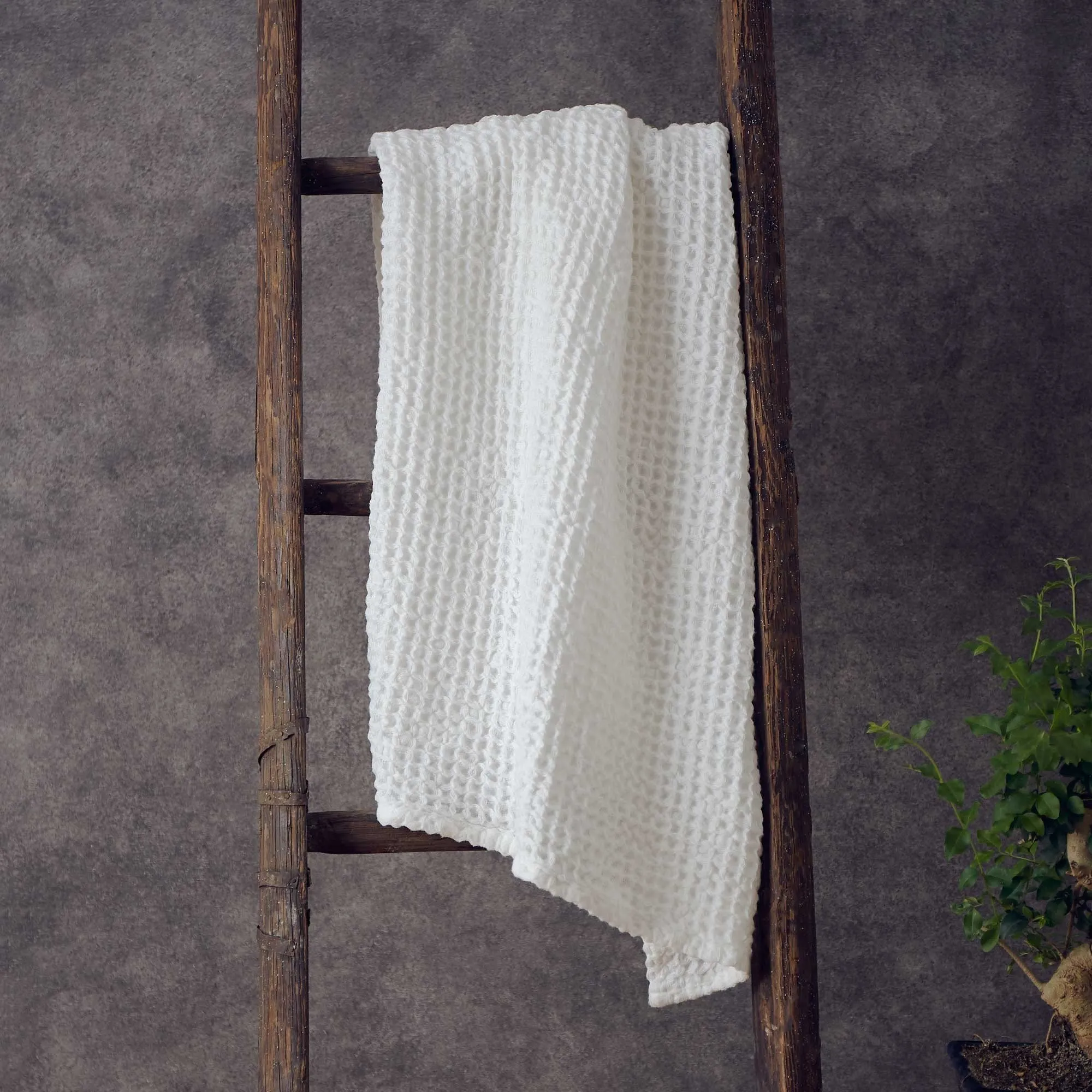 Mikawa Towel Collection [Off-white]