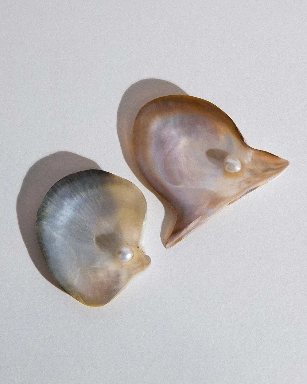 Wing Oyster Shell Jewellery Dish