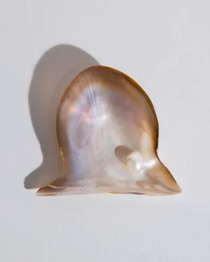 Wing Oyster Shell Jewellery Dish